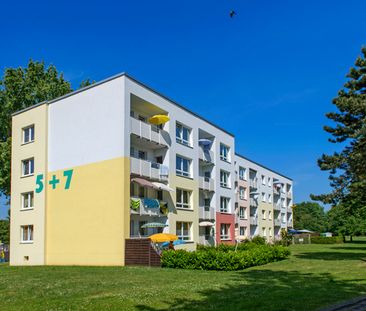 Demnächst frei! 2-Zimmer-Wohnung in Dortmund Wickede - Photo 1