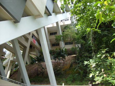 Pepys Hill Condominium (D5), Condominium - For Rent - Photo 3