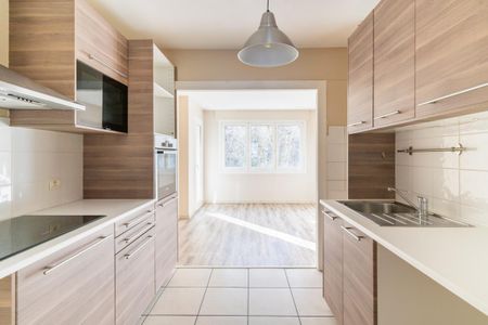 Location Appartement 3 pièces 87m² ANNECY 74000 - Photo 4