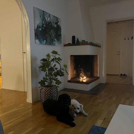 Frejgatan, Örnsköldsvik - Photo 4