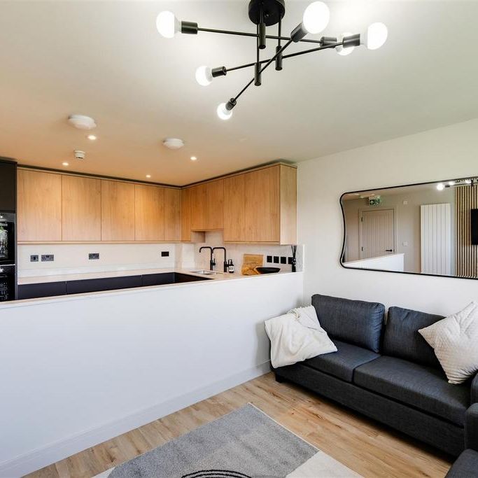 7 bedroom flat to rent - Photo 1