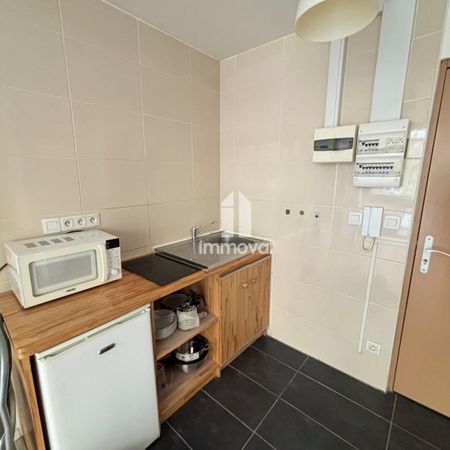 Location Appartement 1 pièce Meublé 21m² STRASBOURG 67000 - Photo 3