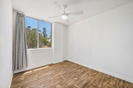 14/72 Church Street, Port Macquarie NSW 2444 - Apartment For Rent | Domain - Photo 2