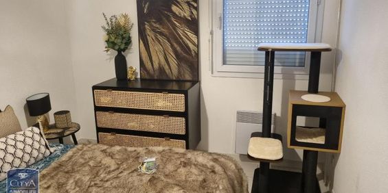 Location Appartement 2 pièces 40m² BEZIERS 34500 - Photo 3