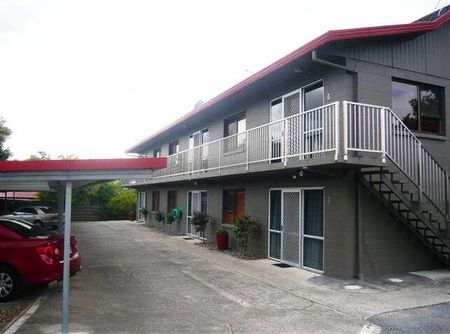 Spacious flat in great location, handy to CBD, The Base, Waikato Stadium & Frankton. - Photo 4