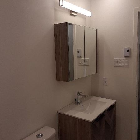 Saint-Rémi, 3 1/2 rénové à louer - Photo 3