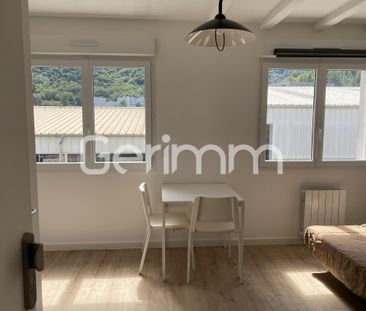 Location Appartement 1 pièce 16,17 m² - Photo 5