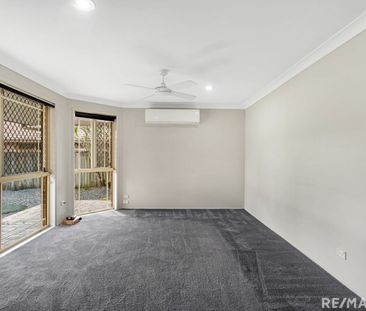 The One Everybody Wants... Be Quick ! - Photo 1