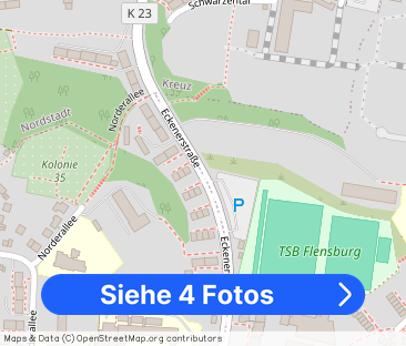 3-Zimmer-Wohnung im Zentrum Flensburgs - Foto 1