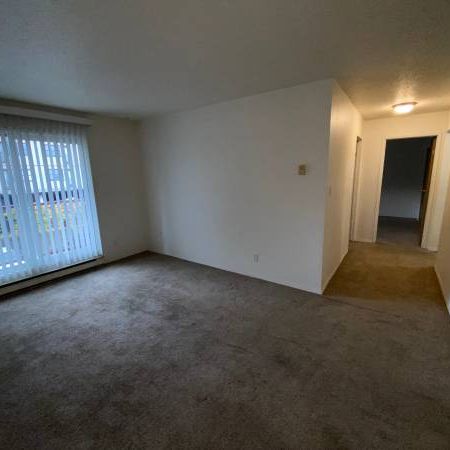 1 bedroom Suite - Avail February 1st Early move-in possible!! - Photo 4