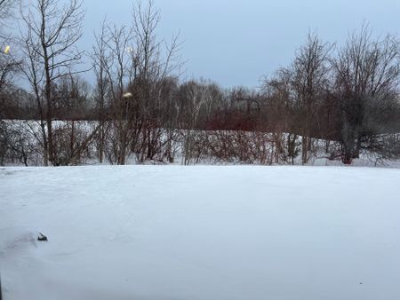 For Lease - 170 Snowbridge Way Unit# 123, Blue Mountains, Ontario - Photo 4