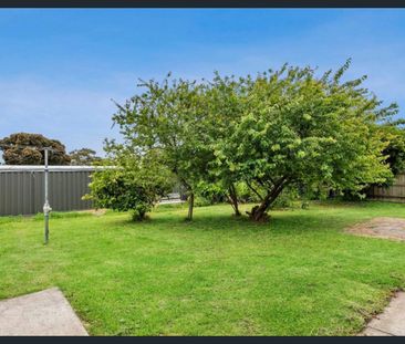 Affordable Coastal Living - Photo 4