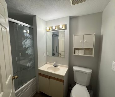 Spacious Home With 2 Kitchens - Photo 6