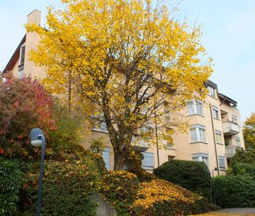 3.5-Zimmerwohnung an ruhiger grüner Lage in Zürich - Photo 5