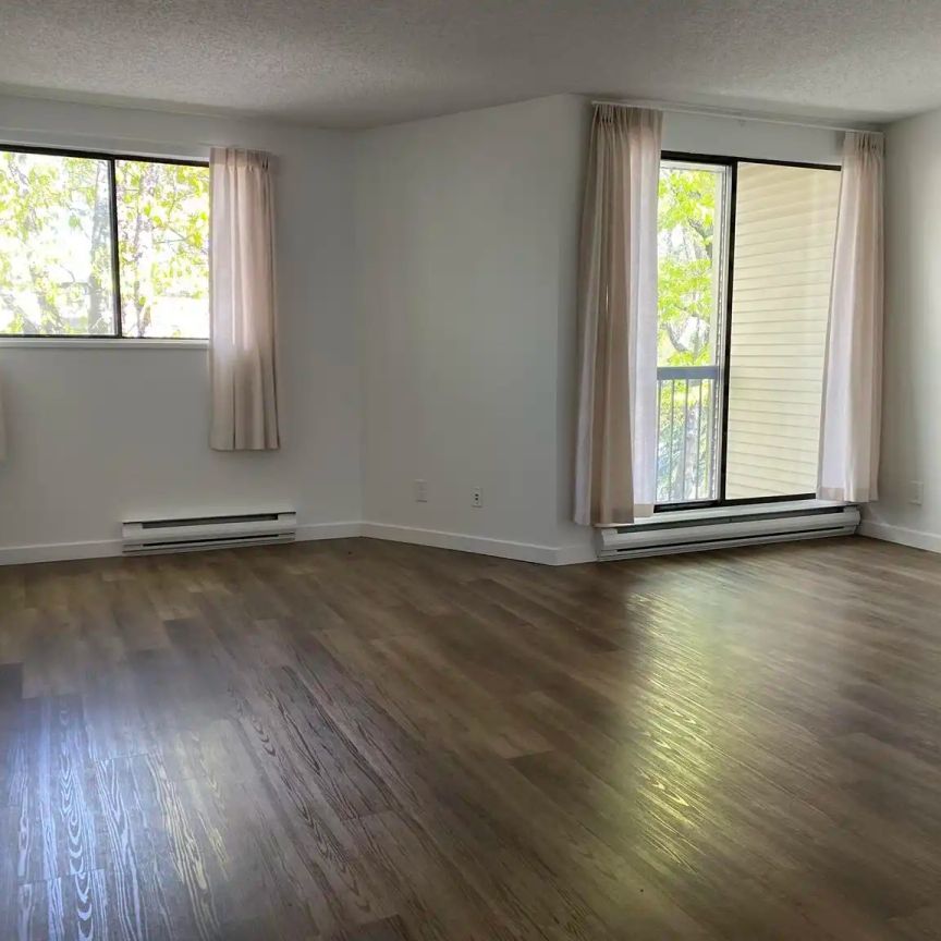 Bennett Manor — 305 - Photo 1