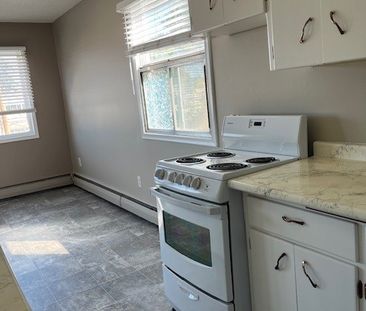 1 BDRM/1 BATH - 601 WILSON CRESCENT - Available MAR 1 - Photo 3