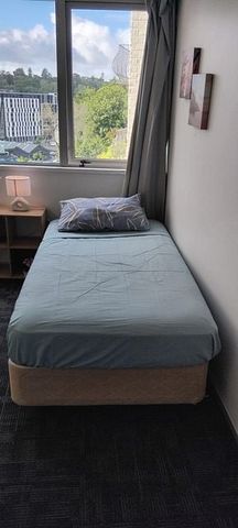 Central Auckland studio apartment Oasis with Pool! - Photo 4