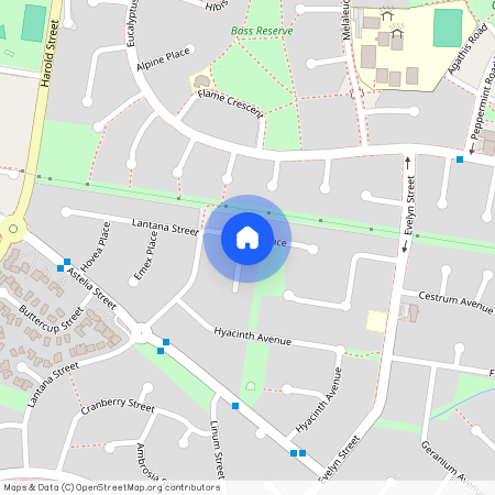 1 Gardenia Pl, NSW 2564, Macquarie Fields