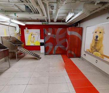 Centretown West - Photo 6