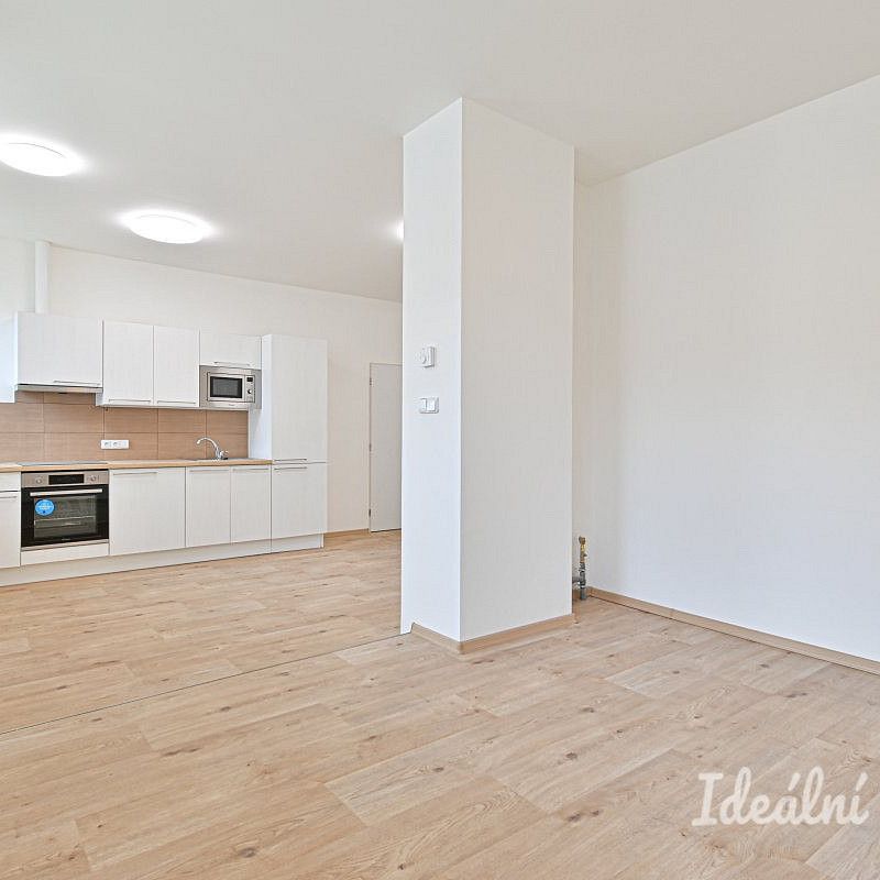 Pronájem bytu 1+kk 45 m² - Photo 1