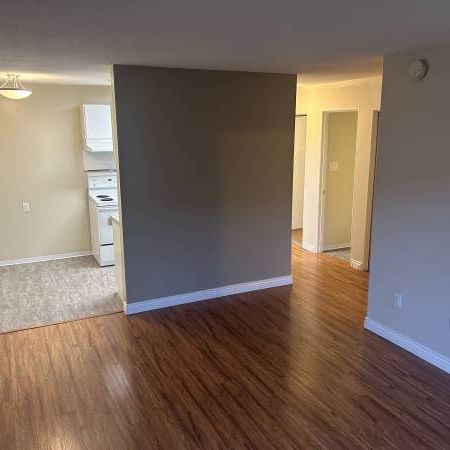 Spacious One Bed near Marpole Loop Available February 1st or later - Photo 3