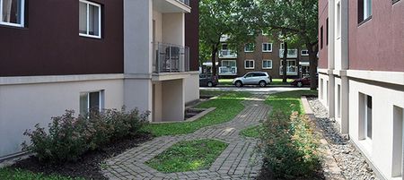 Appartements à louer à Québec - Photo 3