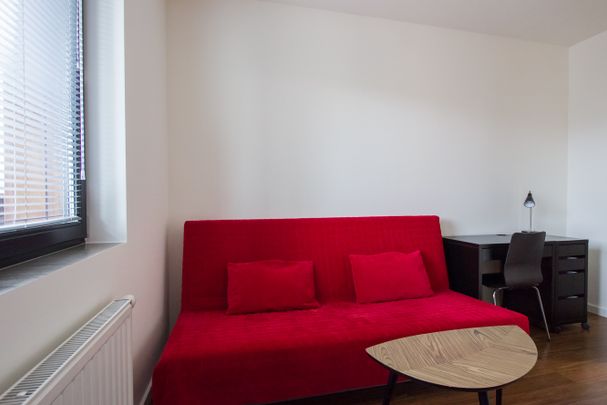 angel city - Zdjęcie 1