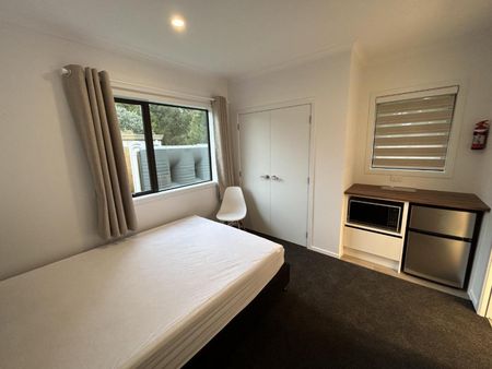 Highlight on Hibiscus - Photo 3