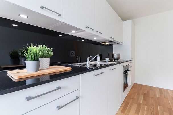 Schöne 2.5 Zimmer-Wohnung am Musical Theater - Foto 1