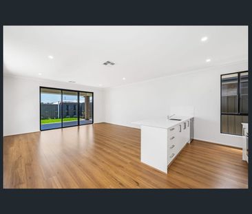 Brand New & Ready for You! - Photo 3