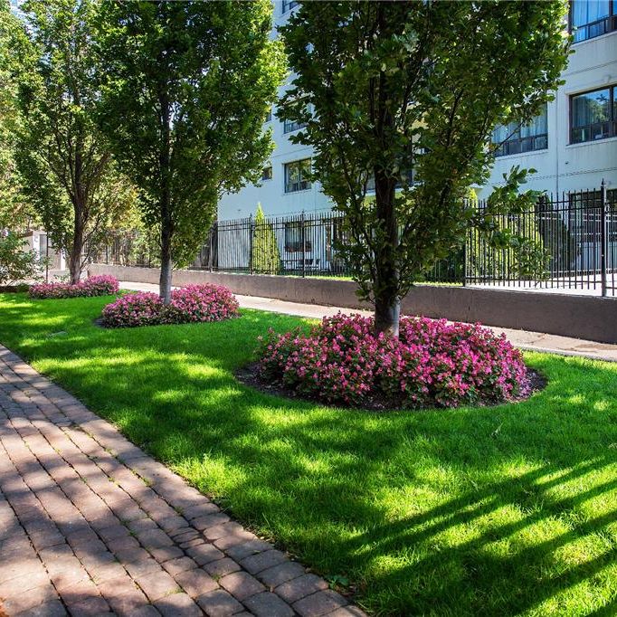 Castellana - Photo 1