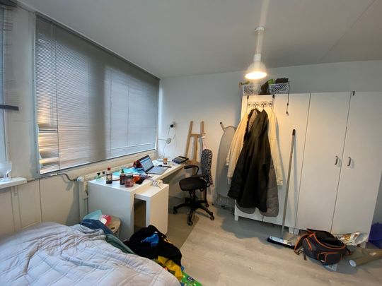 Robijnstraat 46, 9743 KR Groningen, Nederland - Foto 1