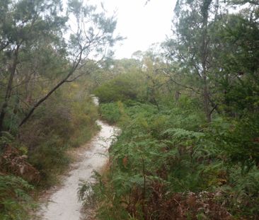 Frankston North - Photo 2