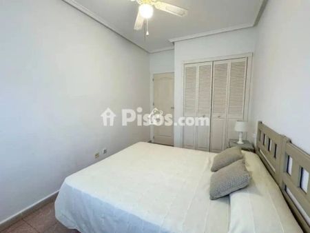 Piso en alquiler en Torrevieja - Photo 3