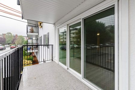 Wedgewood Terrace - Photo 5