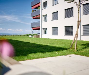 Geräumige Attika-Wohnung - Photo 4