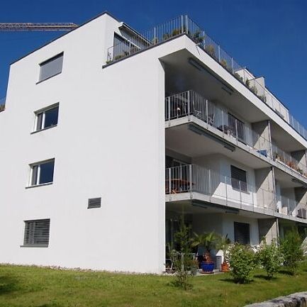 Small but good - Photo 3