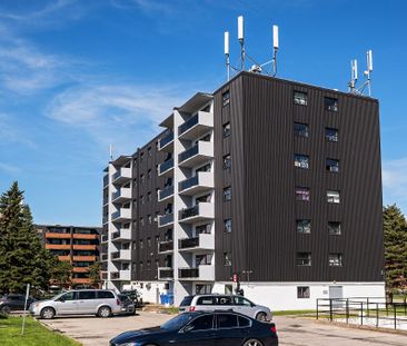 Bloor Street Apartments - Photo 1