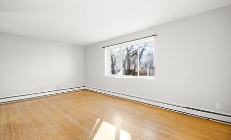 192 Anderson – 1 Bedroom, Winnipeg, MB - Photo 4