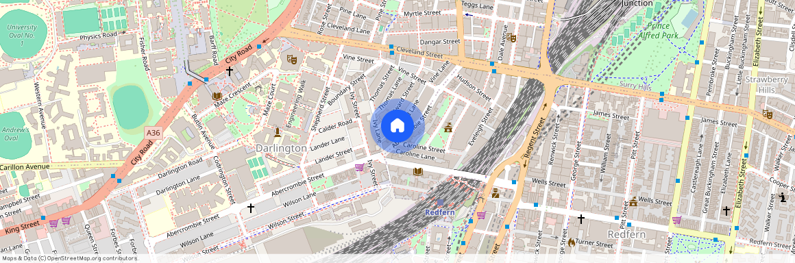 223 Abercrombie Street, Darlington NSW 2008