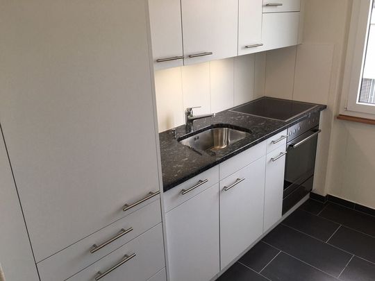 3-Zimmerwohnung, 1. Stock links - Foto 1