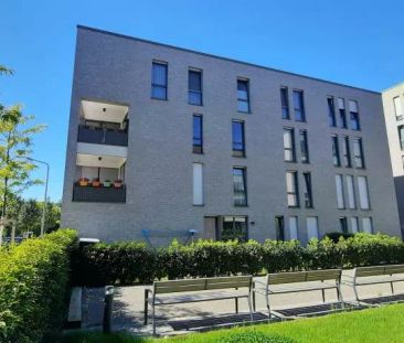 Anna-Heinemann-Weg 10, 45131 Essen - Foto 4