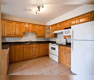 2 Bed 2 Bath Balcony Bisset SE Edmonton - Photo 4