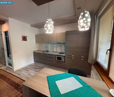 Apartament cu o cameră și nișă de dormit de închiriat, Plopilor - Fotografie 1