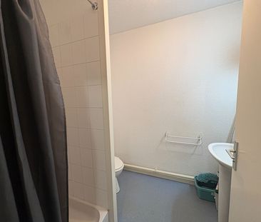 Location Appartement 1 pièce 19m² RENNES 35700 - Photo 3