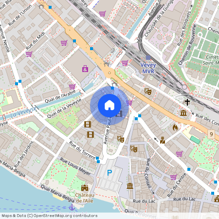 1800, Vevey, Avenue Paul-Ceresole, 11