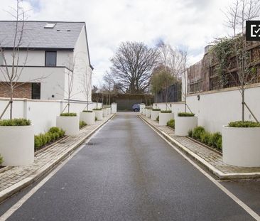 Modern 1-bedroom apartment for rent in Ballsbridge, Dublin - Photo 2