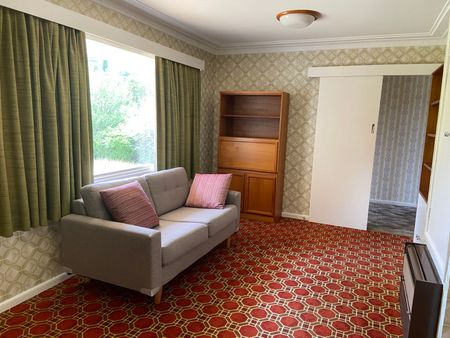 EXCELLENT OPPORTUNITY FOR STUDENT HOUSING or LARGE FAMILY HOME - Photo 3