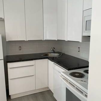 Large Renovated 2 Bedroom in Great location - Photo 4