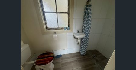 5 Hyman Street, Tamworth, NSW 2340 - Photo 2